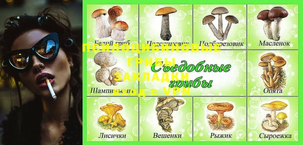 MDMA Заводоуковск