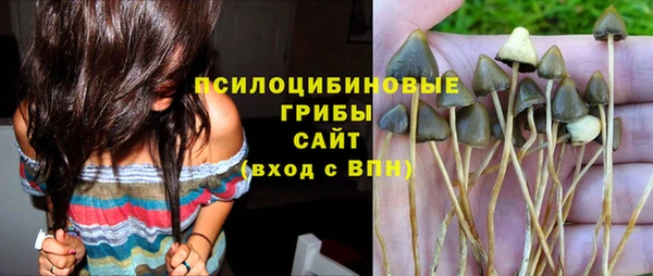 MDMA Заводоуковск