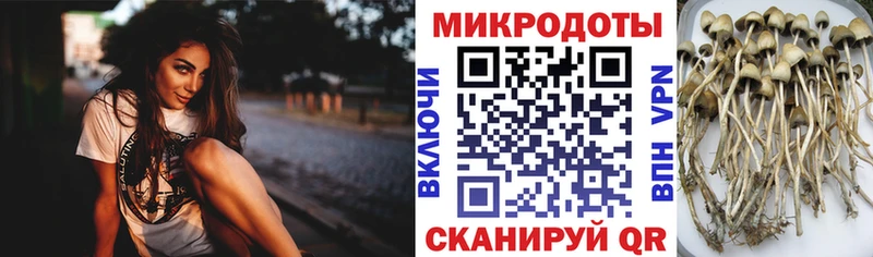 Галлюциногенные грибы прущие грибы  Иланский 